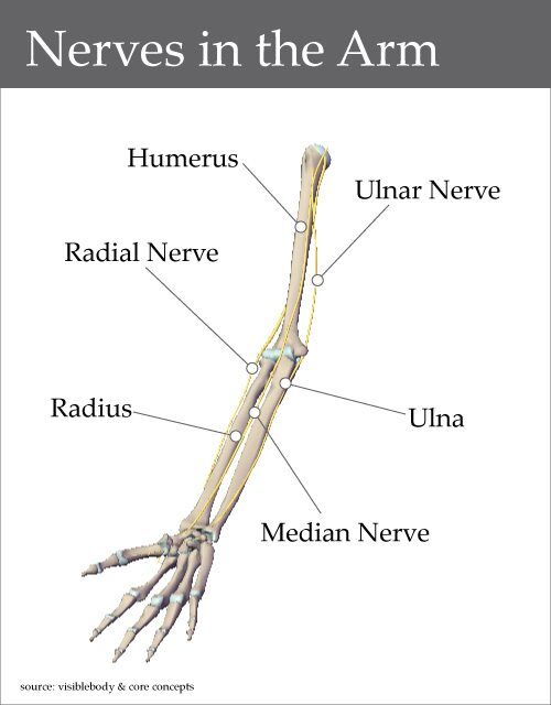 Nerve Stretches