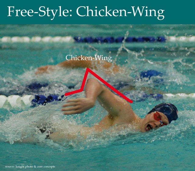 Swimmer