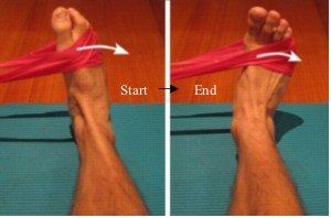 theraband inversion exercise ankle sprain