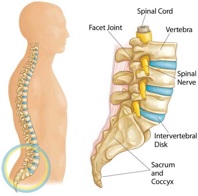 Spondylolysis