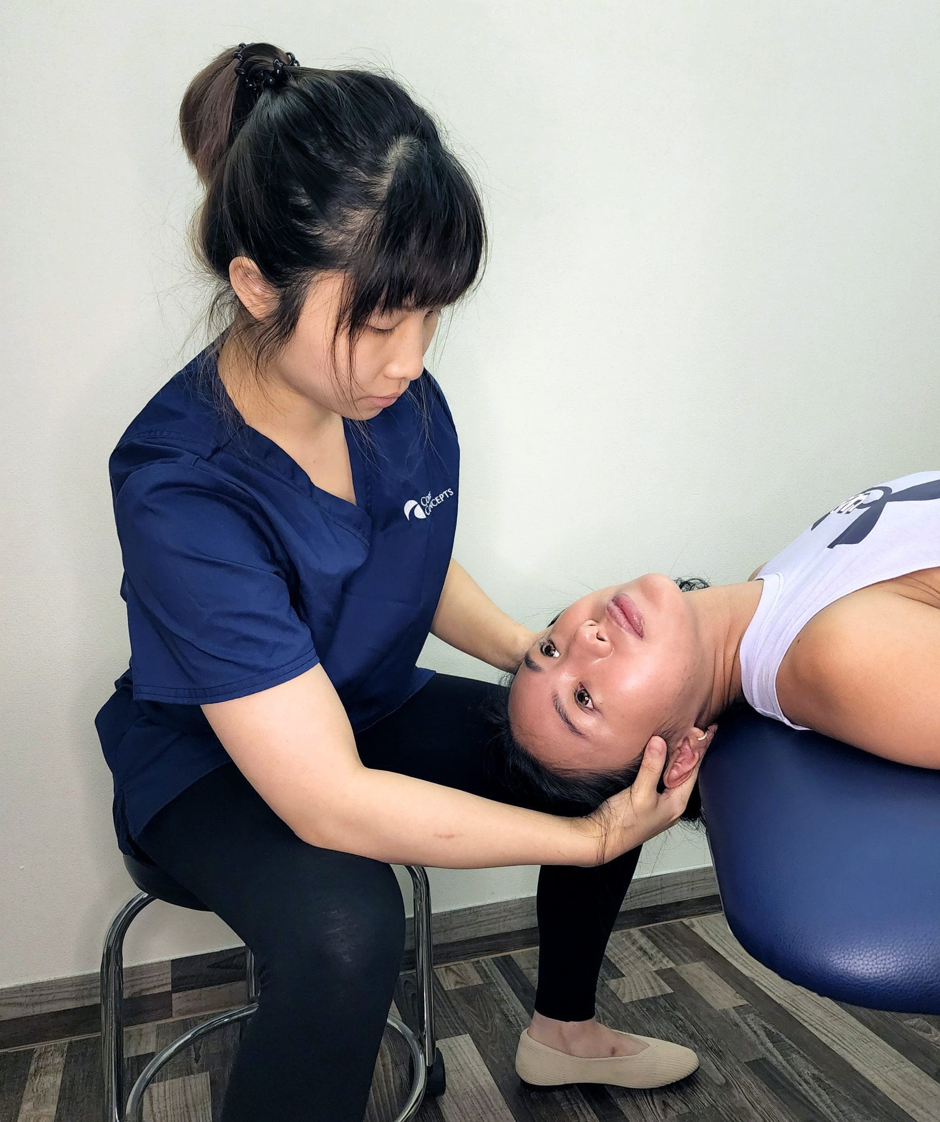 vestibular physiotherapy